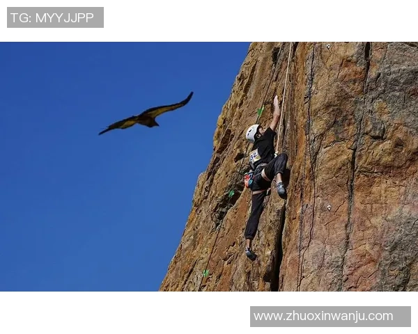 广州攀岩队灵活性分析与提升策略探讨之攀岩焦点研究